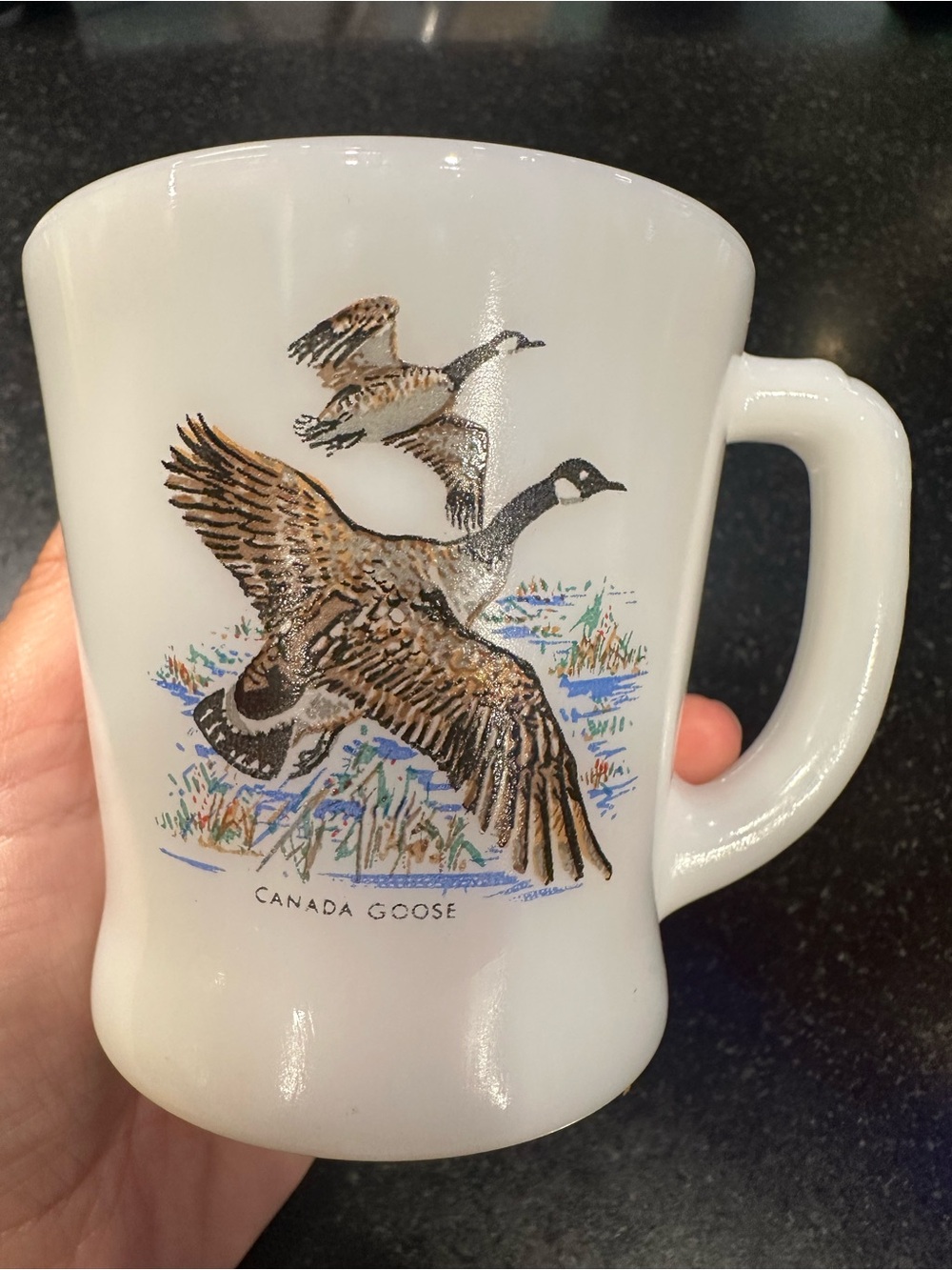 VTG Fire King Anchor Hocking D-handle Coffee Cup Mug Game Birds
